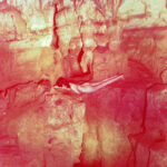 All the Naked Spelunking You Can Handle