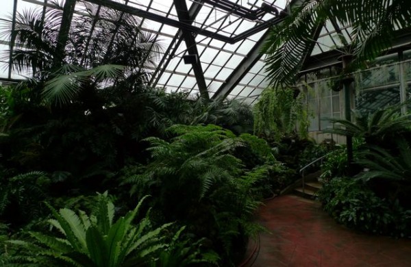 In The Midst of Life : A Requiem at The Lincoln Park Conservatory