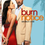 Thoughts from Across the Cultural Divide: #7 (Burn Notice)