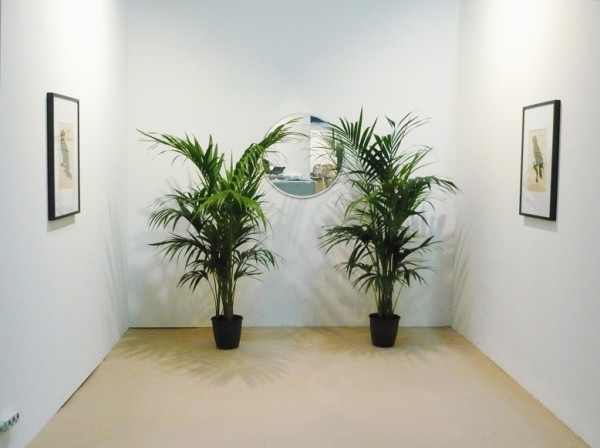 Parrots (installation view), Jacopo Miliani (2008),  Frutta Gallery