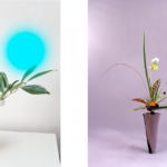 A Plant as Familiar: The Use of Plants in Contemporary Art