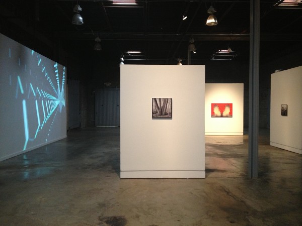 Installation view of "The Janus Restraint: The Ascension" by Barry Anderson. 