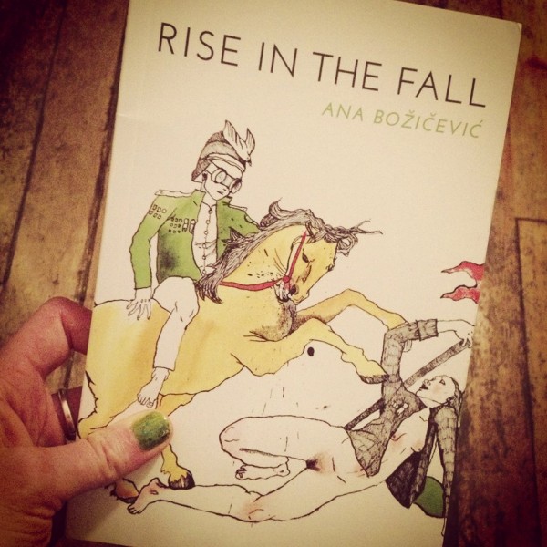 RISE IN THE FALL by Ana BoÅ¾iÄeviÄ‡ (Birds, LLC; 2013)