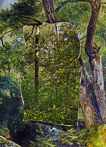 Abelardo Morell. "Cutout in Print with Trees Behind." 2013. Image found at www.high.org.