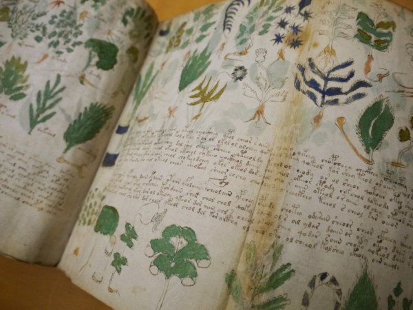 Voynich manuscript (photo: Emily Nachison)